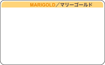                     MARIGOLD／マリーゴールド

　　　　　