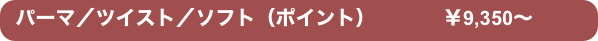 パーマ／ツイスト／ソフト（ポイント） 　　    ￥9,350〜